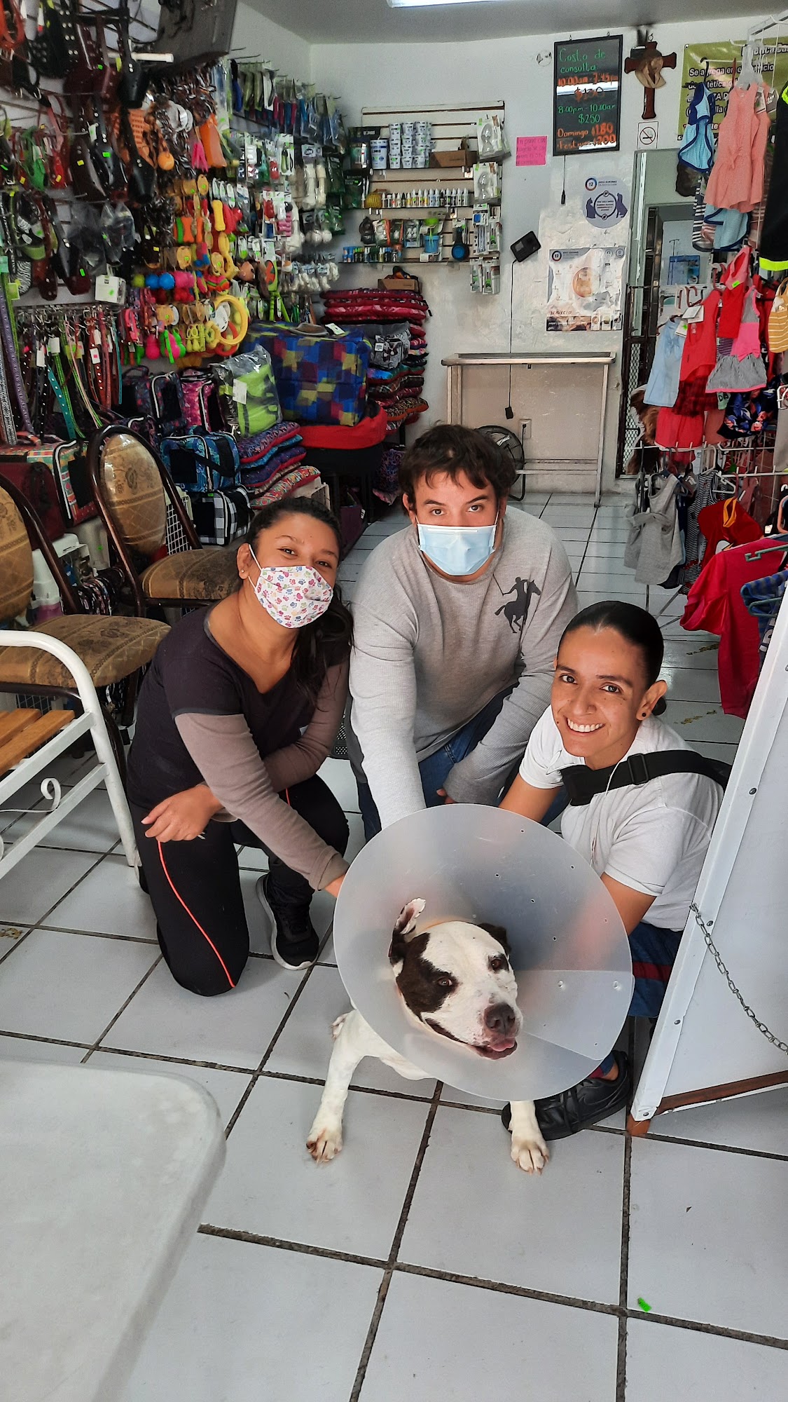 Veterinaria MASCOVET examinando con cariño a un perro y un gato